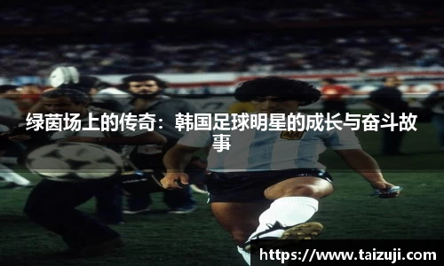 绿茵场上的传奇：韩国足球明星的成长与奋斗故事
